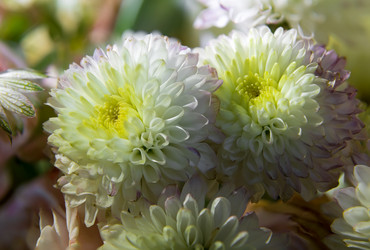 Similar image 21036522