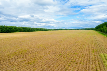 Similar image 21036526