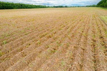 Similar image 21036528