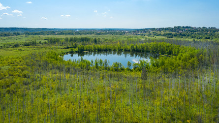 Similar image 21036530