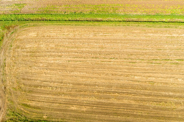 Similar image 21036543