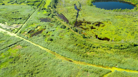 Similar image 21036557