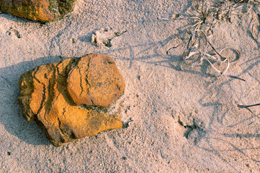 Similar image 21071765