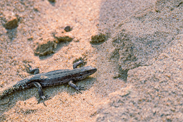 Similar image 21071766