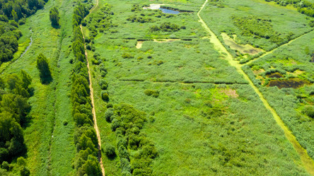 Similar image 21032627