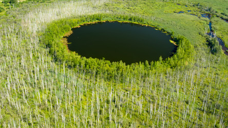 Similar image 21032632