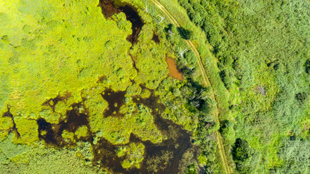 Similar image 21032638