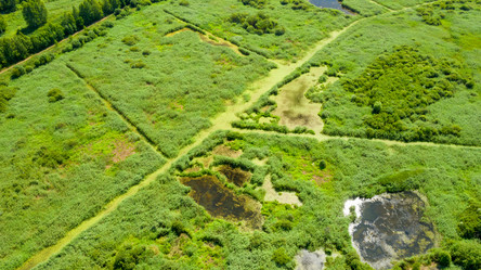 Similar image 21032639