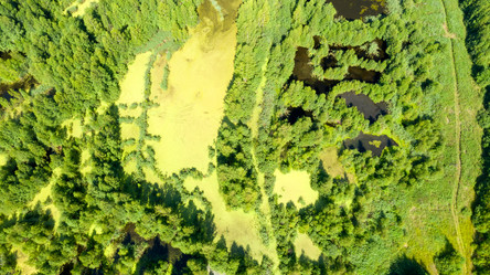 Similar image 21033725