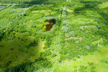 Similar image 21033836