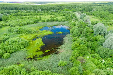 Similar image 21033837