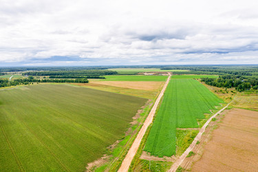 Similar image 21033845