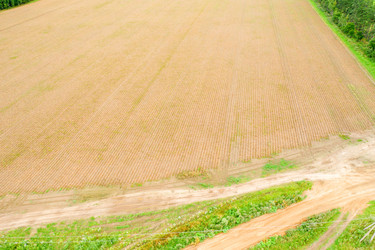 Similar image 21033847