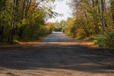 Similar image 21036574