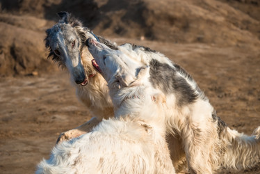 Similar image 21036593