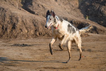 Similar image 21036595