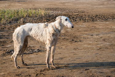 Similar image 21036596