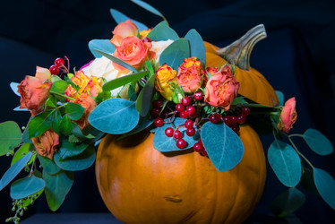 Similar image 21036597