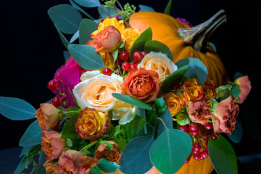 Similar image 21036599