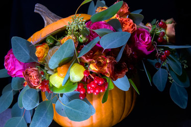 Similar image 21036600