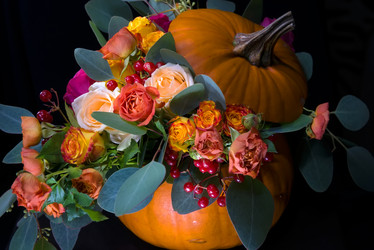 Similar image 21036602