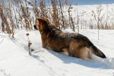 Similar image 21036603