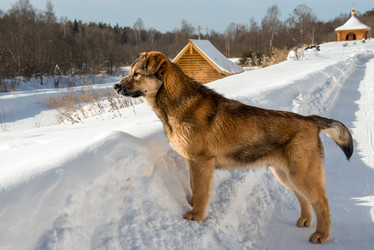 Similar image 21036604