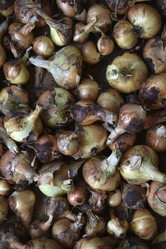 Similar image 21030019