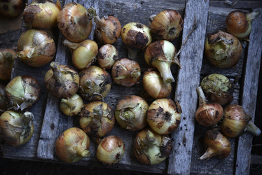 Similar image 21030020