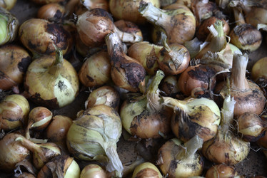 Similar image 21030022