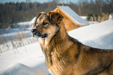 Similar image 21033851