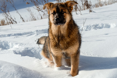 Similar image 21033852