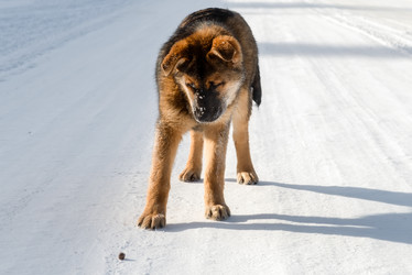 Similar image 21033853