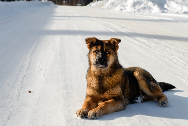 Similar image 21033854