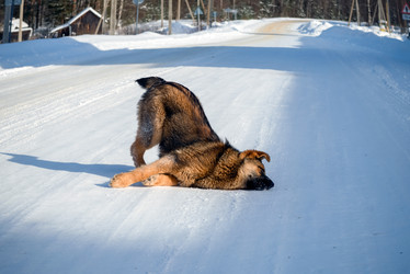 Similar image 21033855