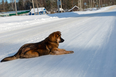 Similar image 21033856