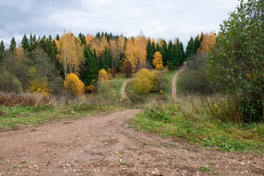 Similar image 21033861