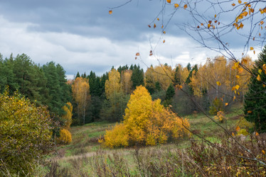 Similar image 21033862