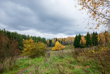 Similar image 21033863