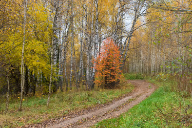 Similar image 21033864