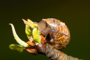 Similar image 21036621