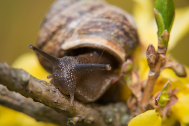 Similar image 21036624