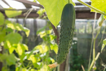 Similar image 21036631