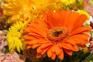 Similar image 21036647