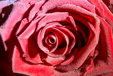 Similar image 21036648