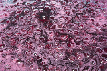 Similar image 21021075