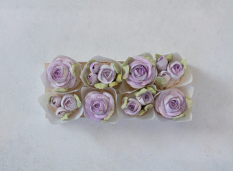 Similar image 21037316