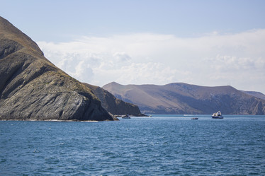 Similar image 21021044