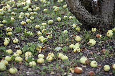 Similar image 21030101