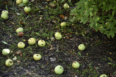 Similar image 21030102